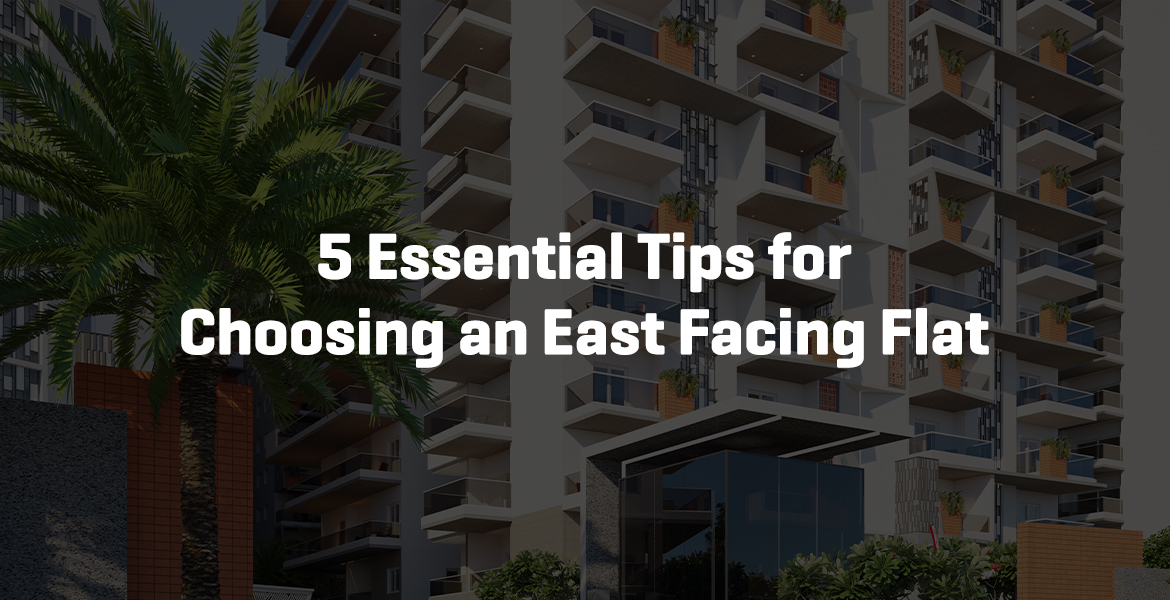 5 Essential Tips for Choosing an East Facing Flat